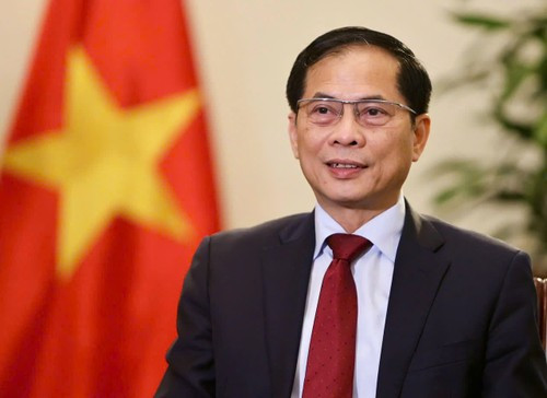 Le vice-Premier ministre et ministre vietnamien des Affaires étrangère du Vietnam, Bùi Thanh Son. Photo : VGP.