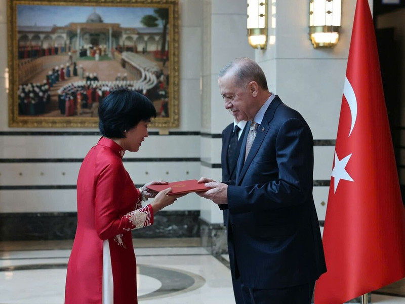 L’ambassadrice du Vietnam en Turquie, Dang Thi Thu Hà, présente ses lettres de créance au président turc, Recep Tayyip Erdogan. Photo : VNA