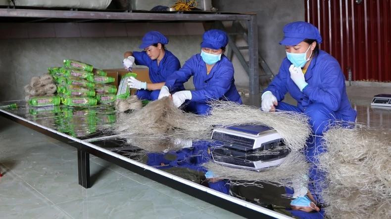 Les vermicelles de Con Minh sont aujourd'hui un produit phare de la province de Bac Kan, qui sont omniprésents tant sur le marché vietnamien que sur les marchés étrangers, dont les pays européens. Photo : NDEL