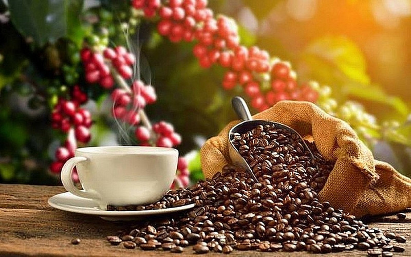 Actuellement, le café vietnamien est présent dans plus de 70 pays et territoires. Photo : congthuong.vn.