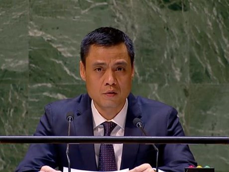 L'ambassadeur vietnamien, Dang Hoàng Giang. Photo : VNA.