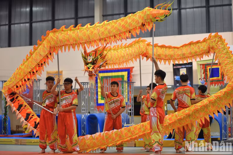 Selon les croyances asiatiques en général et vietnamiennes en particulier, la danse du lion (parfois appelée danse de la licorne ou danse du qilin) et du dragon est souvent pratiquée lors du Nouvel An lunaire, de l’ouverture de foires commerciales ou des festivités religieuses et culturelles. Tradition vivante, cette danse populaire est censée apporter la chance, le bonheur, la prospérité et chasser les mauvais esprits.