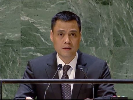 Le chef de la Mission permanente du Vietnam auprès de l’ONU, Dang Hoàng Giang. Photo: VNA.