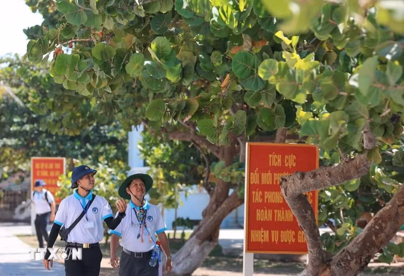 Grâce aux efforts inlassables de l'armée et de la population des îles, les arbres ont contribué à améliorer le climat local rigoureux.