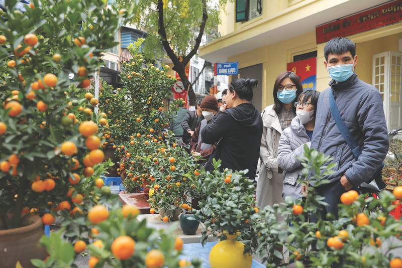 Le marché aux fleurs de Hàng Luoc dans l’arrondissement de Hoàn Kiêm, Hanoï. Photo : VNA.