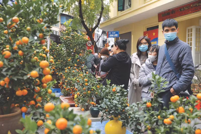 Le marché aux fleurs de Hàng Luoc dans l’arrondissement de Hoàn Kiêm, Hanoï. Photo : VNA.