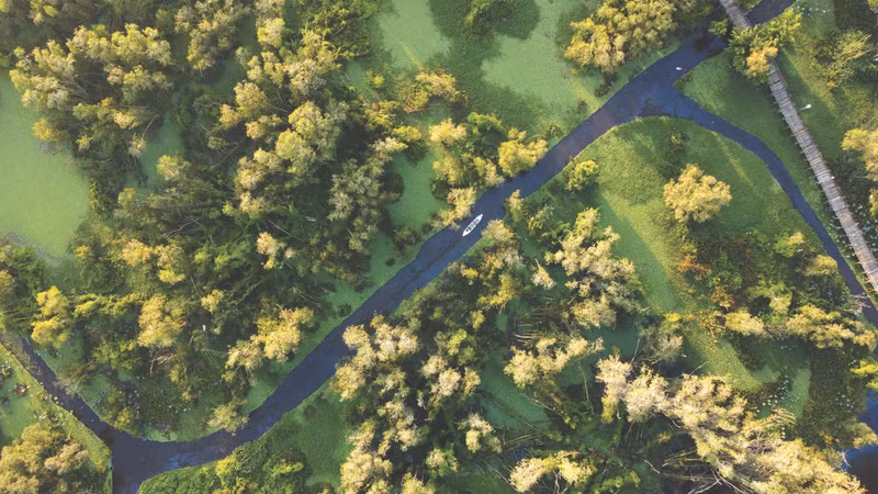 La province d’An Giang, dans le delta du Mékong, a récemment lancé un projet en collaboration avec le WWF - Vietnam pour restaurer les zones inondées de la forêt de cajeputiers de Trà Su. Photo: WWF