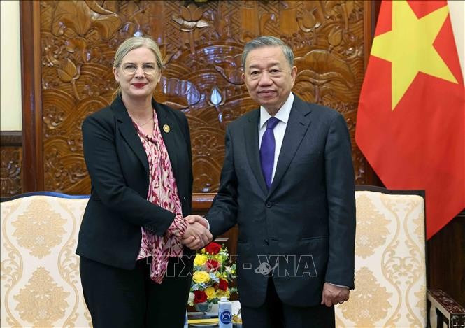 Le Président vietnamien To Lam (à droite) et l'ambassadrice de Suède, Ann Mawe, le 28 juin à Hanoï. Photo :VNA