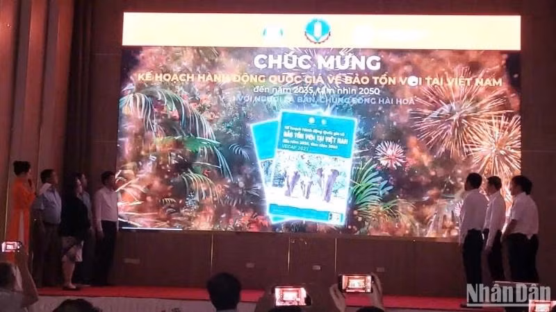 Le plan VECAP 2022, qui est mis en œuvre d'ici 2035 avec une vision jusqu'en 2050, vise à conserver et à augmenter le nombre d'éléphants au Vietnam, tout en promouvant une coexistence harmonieuse entre les hommes et les éléphants. Photo : NDEL.