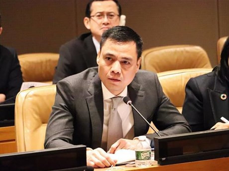 L'ambassadeur Dang Hoang Giang, chef de la Mission permanente du Vietnam auprès des Nations Unies. Photo : VNA.