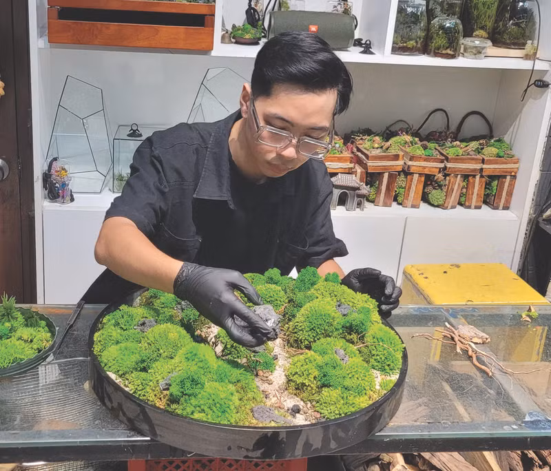 Hoàng Tuân Anh au travail.