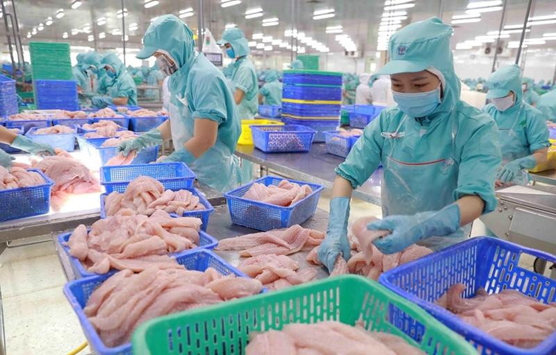 Transformation de pangasius. Photo: tapchicongthuong.