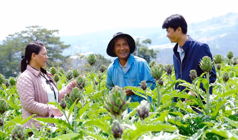 Grâce au soutien de l’État, du Parti et des autorités locales, le niveau de vie des habitants de la province de Lam Dong s’améliore de jour en jour. Photo : NDEL