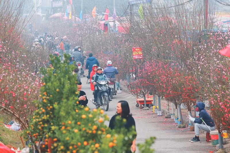 Une atmosphère joyeuse règne dans les marchés aux fleurs de la capitale. Photo: VNA.