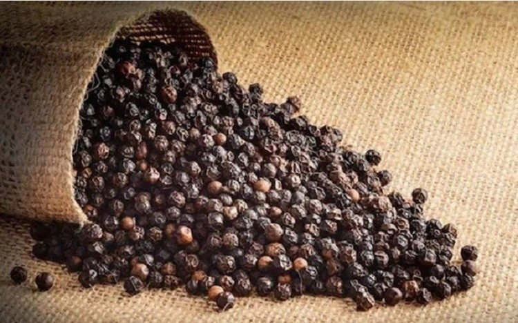 En 2023, 267.000 tonnes de poivre de toutes sortes ont été exportées pour une valeur de 912 millions de dollars. Photo : tapchicongthuong.