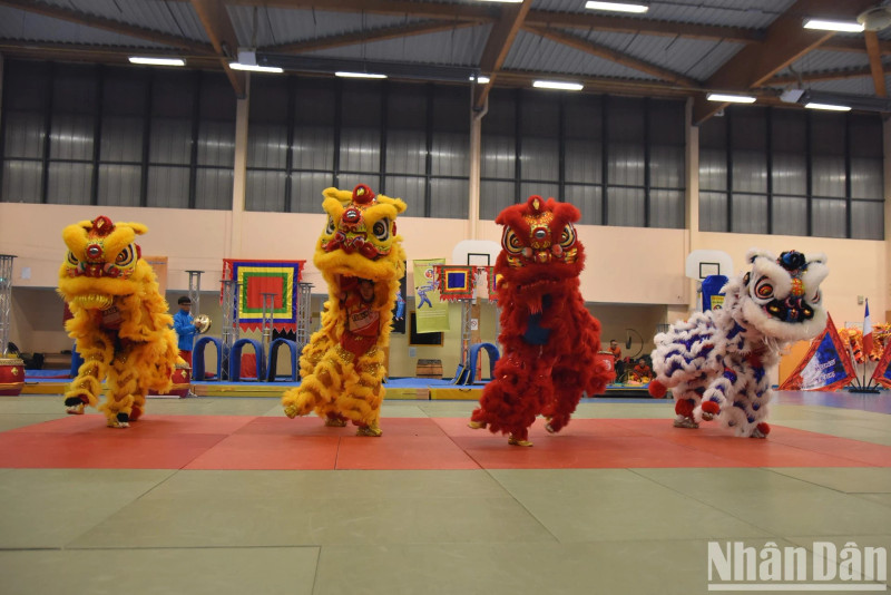 Un spectacle de danse du lion et du dragon à Paris, le 4 novembre. Photo : NDEL.
