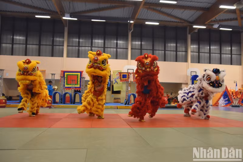 Un spectacle de danse du lion et du dragon à Paris, le 4 novembre. Photo : NDEL.