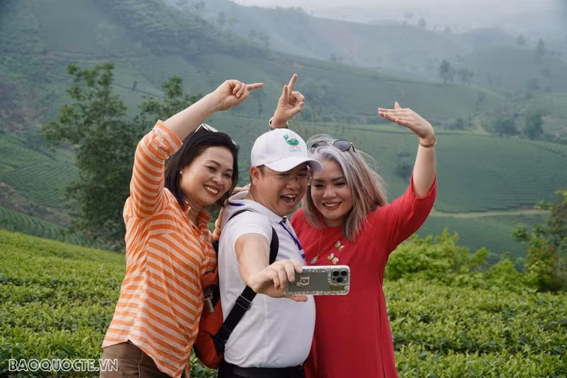 La délégation de Viêt kiêu a visité la zone touristique de la colline de thé de Long Côc. Photo: baoquocte.vn. La délégation de Viêt kiêu a visité la zone touristique de la colline de thé de Long Côc. Photo: baoquocte.vn.