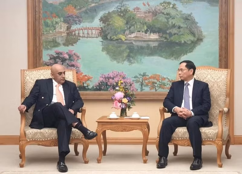 Le vice-Premier ministre et ministre des Affaires étrangères, Bui Thanh Son (droite), et le président du groupe Makara Capital, Ali Ijaz Ahmad, le 15 janvier à Hanoi. Photo : VNA. 