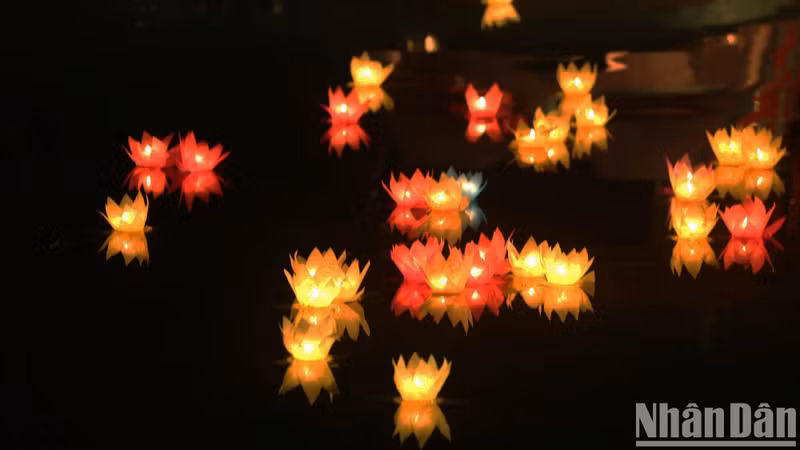 Le vénérable Thich Thiên Ngoc, abbé de la pagode Dai Phuoc Vietnam-Myanmar, souligne l’importance de la quatrième édition du Vesak au Vietnam : « Le Vesak 2025 est marqué par deux moments forts: sa coïncidence avec le 50e anniversaire de la réunification du Vietnam et l’accueil des reliques de Bouddha venues d’Inde. Cette célébration véhicule un message de paix qui invite tous les pays à prospérer dans l’harmonie et la sagesse ». Photo : The Anh/NDEL