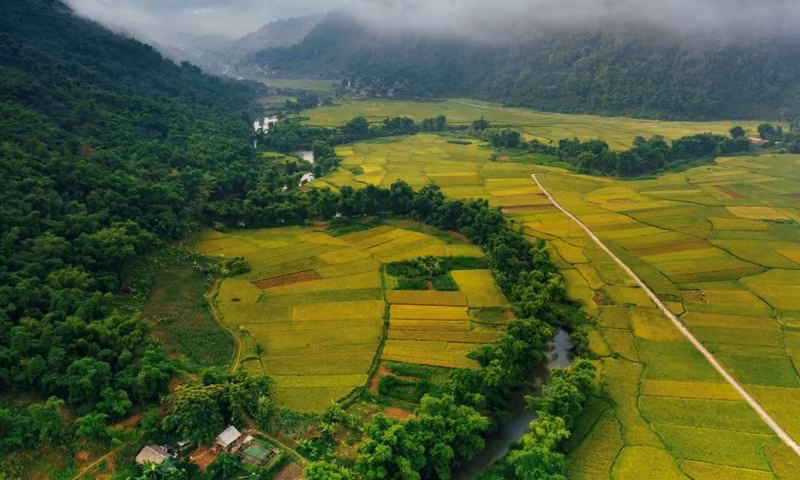 Pu Luong est à environ 160 km de Hanoi, soit environ 4 heures en voiture. La route est facile à trouver. Pu Luong est actuellement à la saison des pluies, aussi les visiteurs doivent-ils vérifier la météo avant de partir.