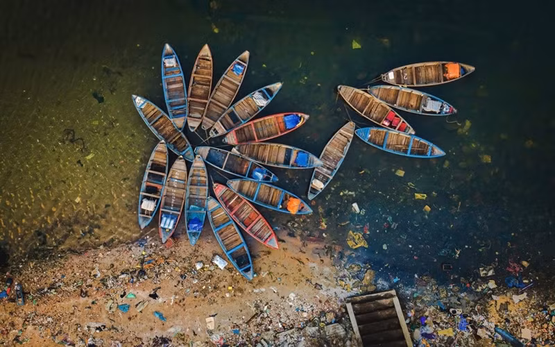 "Fleur de bateau dans la pollution", prise sur la plage de Tinh Ky, Quang Ngai. Photo : Alex Cao.