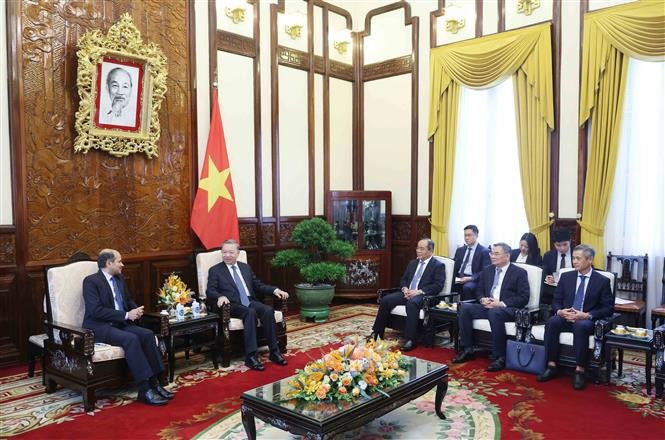 Lors de la rencontre entre le Président vietnamien Tô Lâm et l'ambassadeur indien au Vietnam, Sandeep Arya, le 26 juin à Hanoi. Photo : VNA.