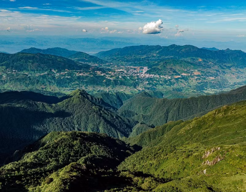 Bored Panda répertorie 5 couleurs typiques de Sa Pa qui captivent les touristes au début de l'automne. Le premier est l’impressionnante couleur verte.