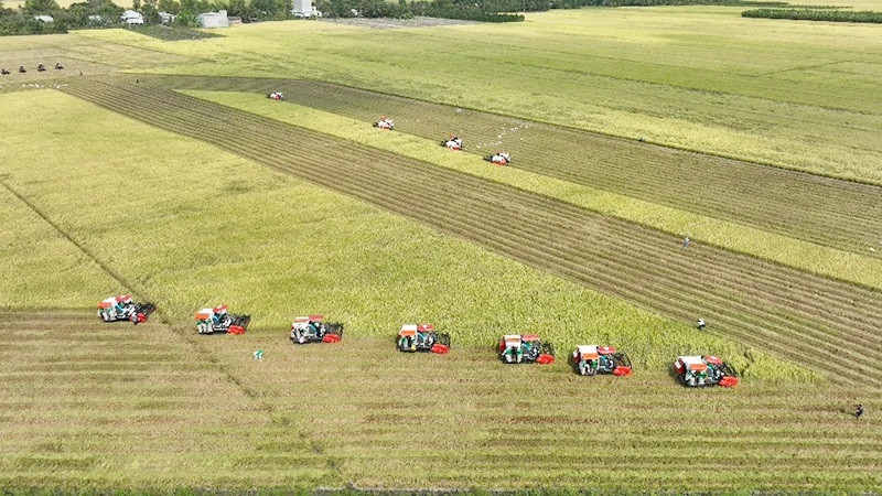 La mécanisation de la production agricole contribue de manière importante à améliorer la productivité et la qualité du riz vietnamien. Photo : Minh Hà/NDEL.