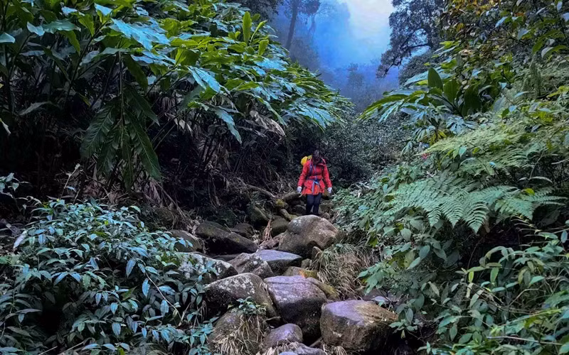 "Les 10 kilomètres qui nous séparaient du camp de base, situé à 1400 mètres d'altitude, nous ont demandé huit longues heures d'effort. Le froid glacial et la brume tenace ont rendu la nuit encore plus interminable", a expliqué Van Ngo, un explorateur. "Les 10 kilomètres qui nous séparaient du camp de base, situé à 1400 mètres d'altitude, nous ont demandé huit longues heures d'effort. Le froid glacial et la brume tenace ont rendu la nuit encore plus interminable", a expliqué Van Ngo, un explorateur.