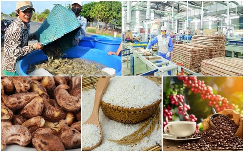 Les États-Unis, premier importateur de produits agricoles, forestiers et aquatiques vietnamiens