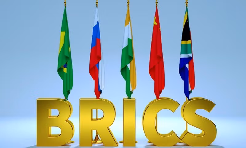 Drapeaux des pays membres des BRICS. Photo : Dailytrust.