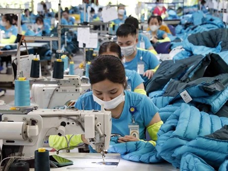 Le secteur s'efforce de développer des solutions durables pour répondre aux exigences du marché mondial. Photo : VNA.