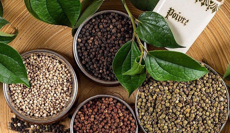 Le Vietnam est le plus grand producteur et exportateur de poivre au monde. Photo: baohaiquan.