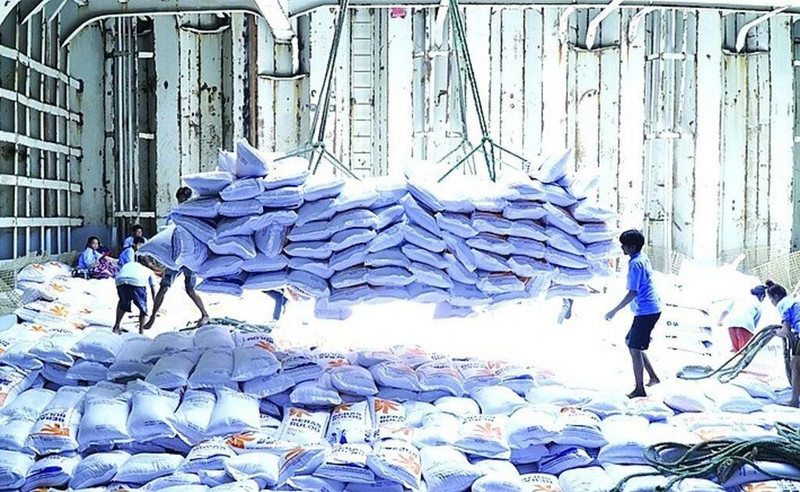 Les prix du riz vietnamien ont grimpé pour redevenir les plus élevés du monde. Photo : VNA. 