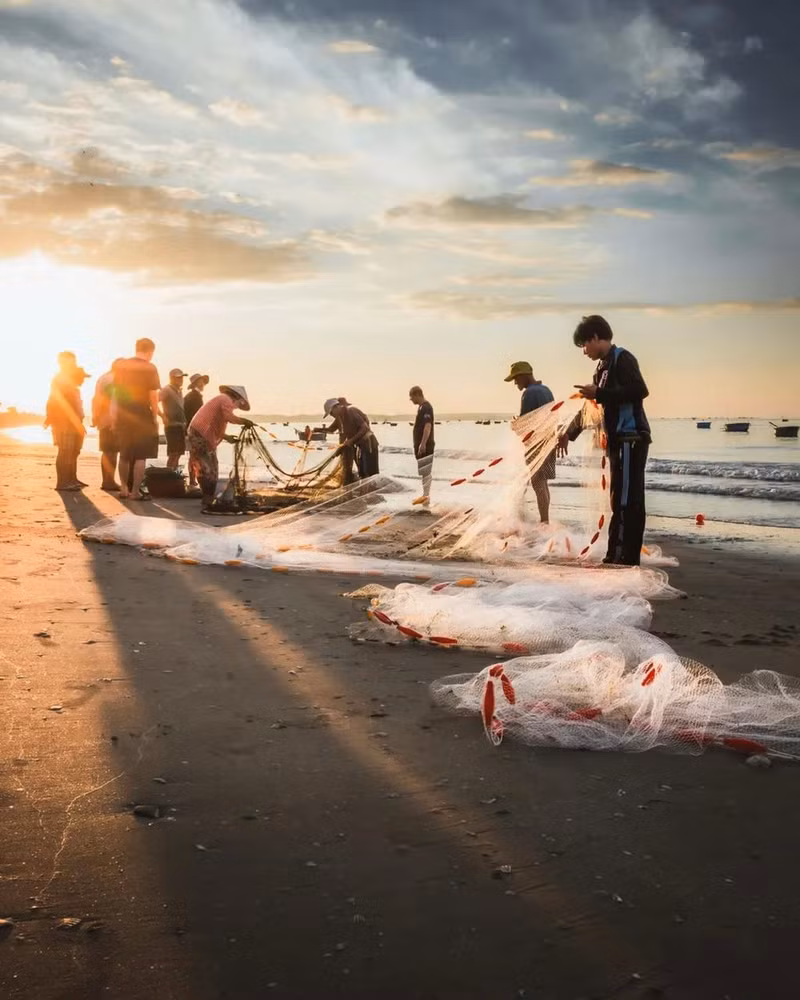 Les pêcheurs trient des poissons à Mui Ne, ville de Phan Thiêt. Photo : Harry Bradley.