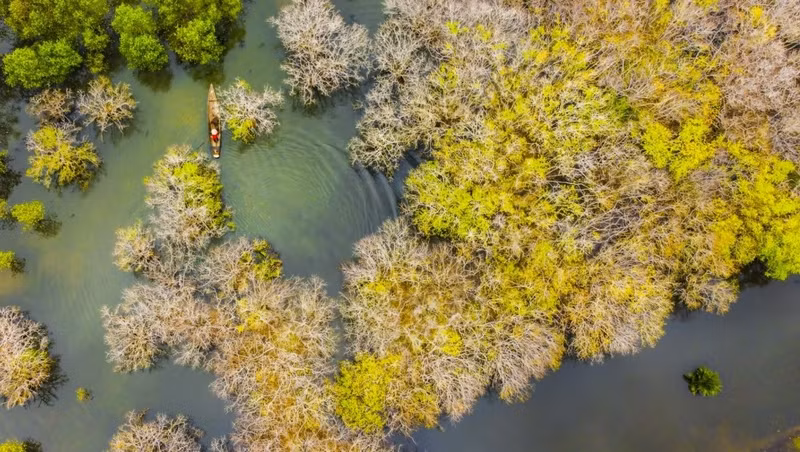 La beauté originale et magique de la mangrove de Ru Cha, dans la province de Thua Thiên Huê. Photo : VOV.