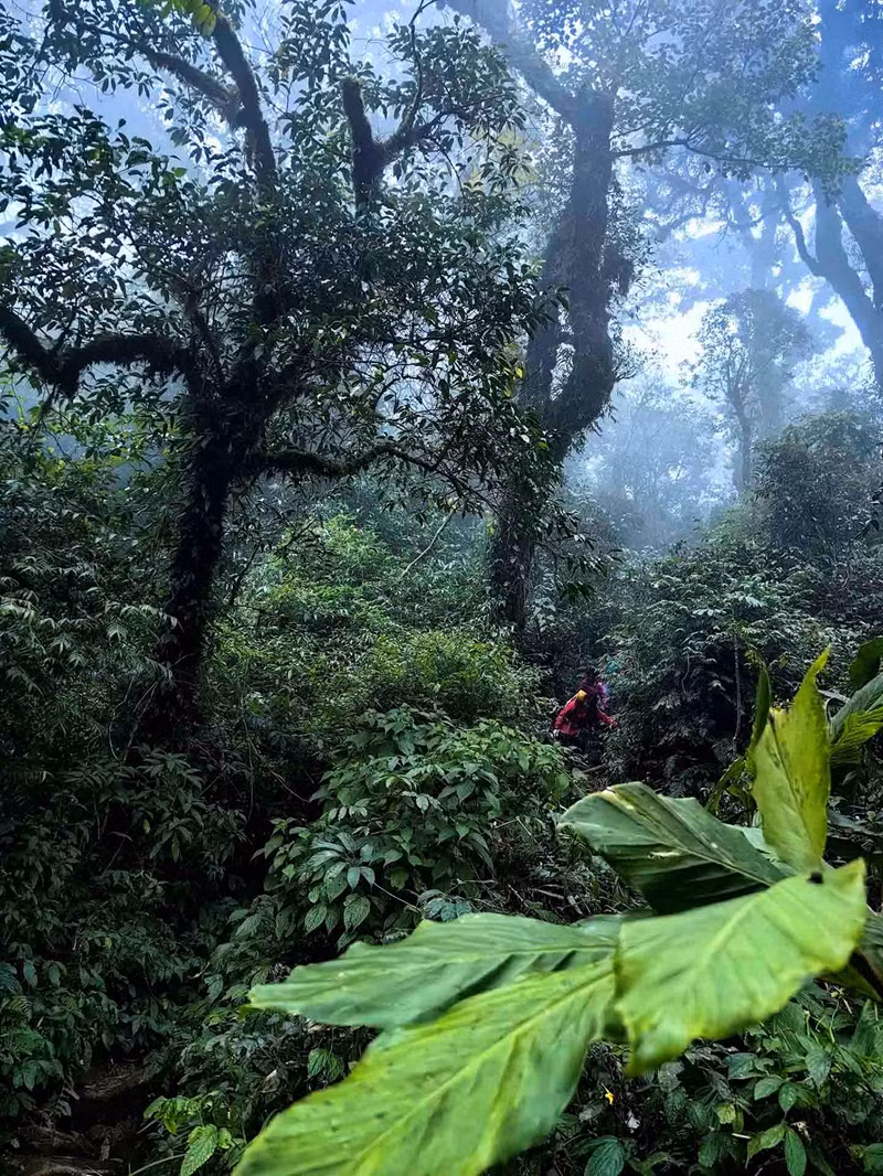 Cette montagne, véritable labyrinthe naturel, offre un trekking d'exception pour les amateurs de sensations fortes. Cette montagne, véritable labyrinthe naturel, offre un trekking d'exception pour les amateurs de sensations fortes.