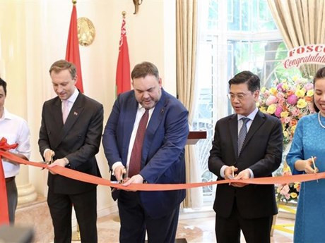 Cérémonie de coupe de la bande d’inauguration du consulat général de Biélorussie à Hô Chi Minh-Ville, le 7 décembre. Photo : VNA.