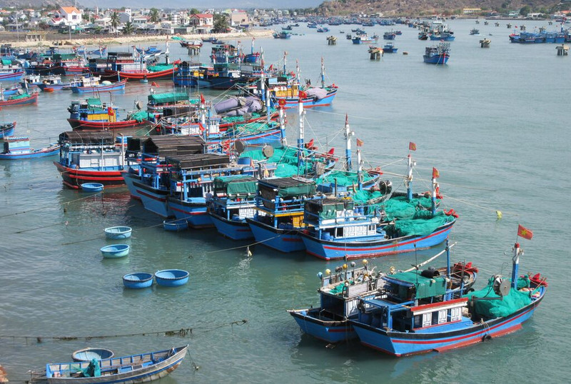 Binh Thuân redouble d'efforts pour lutter contre la pêche INN. Photo : VNA.