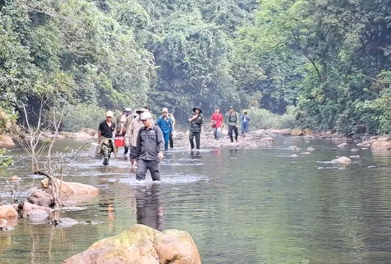 Le chemin vers la forêt d'abricotiers est assez difficile, il faut traverser des ruisseaux et des montagnes escarpées. Le trajet aller-retour peut durer une journée complète. Photo : Comité de gestion des forêts à usage spécial de Quang Tri