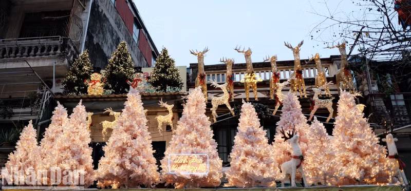 La rue de Hang Ma est une des destinations de prédilection des touristes étrangers à l’occasion de Noël. M. Peter, un touriste australien, a confié : « Je ne pouvais pas imaginer que la fête de Noël recevrait autant d’attention au Vietnam. C’est intéressant de voir des magasins décorés de couleurs vives et des gens enthousiasmés par cette fête ». Photo : Trung Hieu/NDEL.
