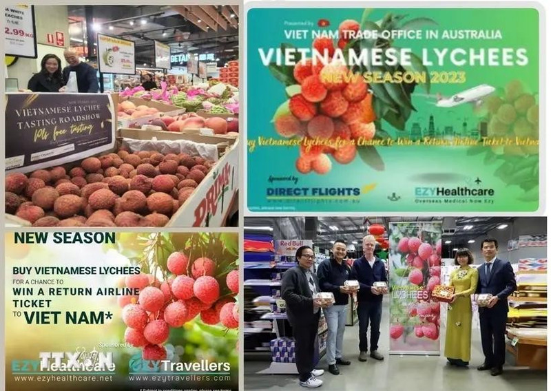 Certaines activités sont réalisées par le Bureau commercial du Vietnam en Australie. Photo : VNA.