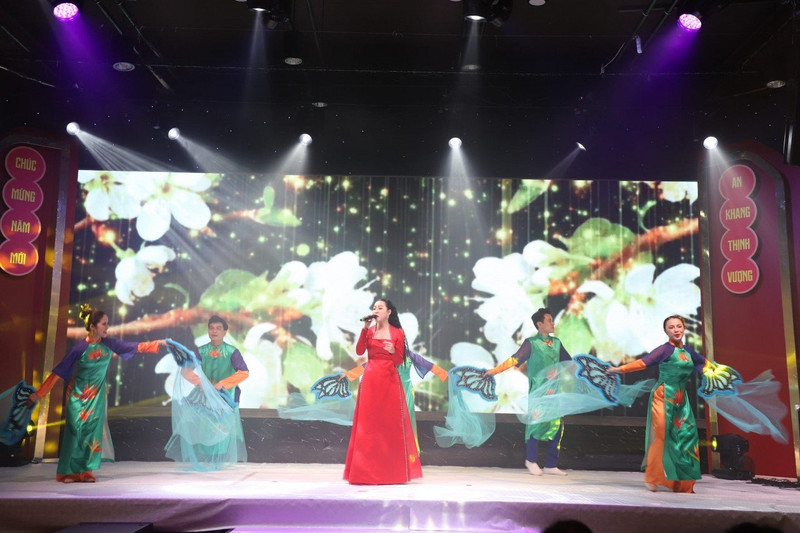 Spectacle artistique en République tchèque interprété par des artistes de Hô Chi Minh-Ville. Photo : baoquocte.