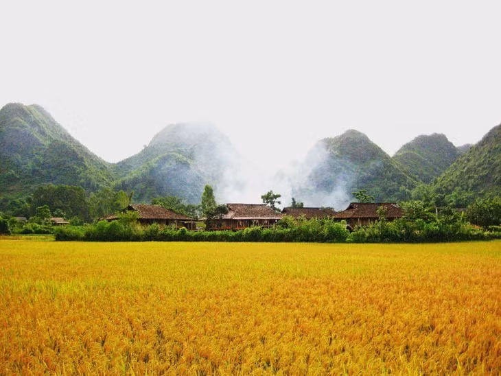 À Bac Son, les rizières sont situées entièrement entre des rochers calcaires, et entourées par les villages des Tày, Nùng et Dao. Photo : VOV.