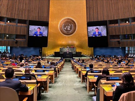 L'ambassadeur Dang Hoang Giang, chef de la Mission permanente du Vietnam auprès des Nations Unies (ONU), s'exprime devant l'Assemblée générale de l'ONU. Photo: VNA.