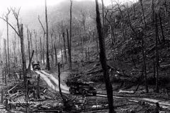 Le tristement célèbre agent orange contenant de la dioxine, l’un des produits toxiques les plus puissants, déversé massivement par les troupes américaines pendant le conflit, continue à faire des dégâts. Photo : VNA.