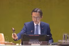 Le président de la conférence, l’ambassadeur Do Hung Viet, chef de la Mission permanente du Vietnam auprès de l’ONU, déclare terminée la 11ᵉ Conférence d’examen du traité de non-prolifération nucléaire. Photo : VNA.