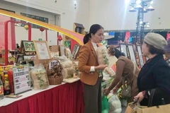 À Hanoï, des espaces culturels et commerciaux au service du Têt 2026