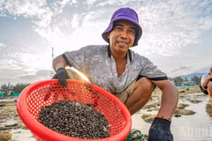 [Photos] À Hon Den, la marée basse révèle la magie d’un paysage hors du temps